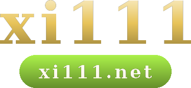 xi111 logo
